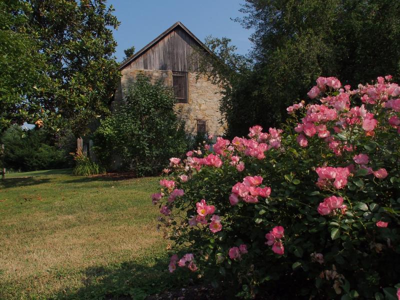 Beauty abounds at Historic Odessa