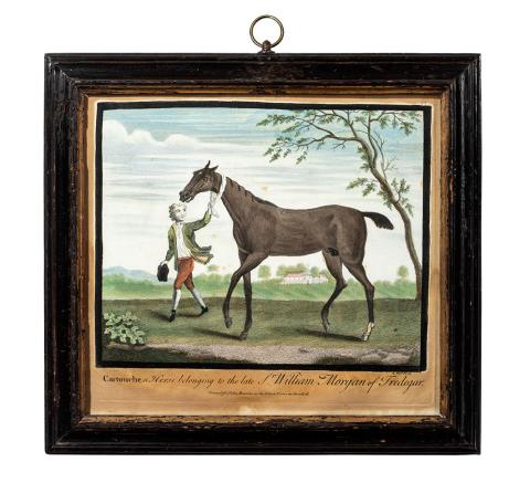 1959.3595 race horse