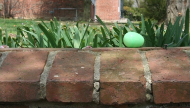 HOF Easter Egg Hunt