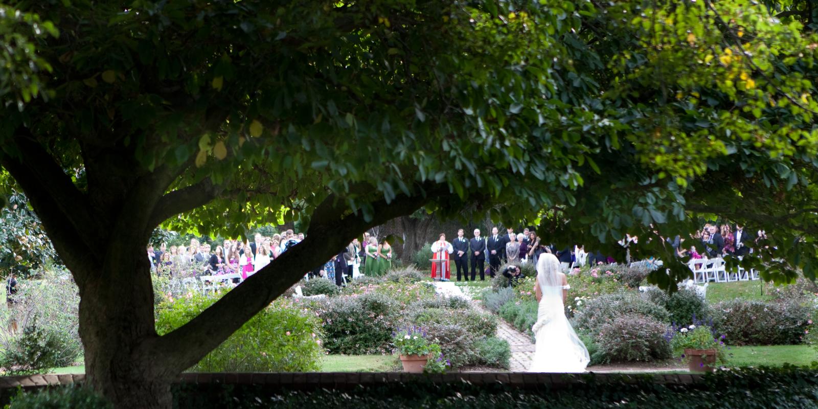 Wedding ceremony in the garden