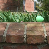 2015 Annual Easter Egg Hunt
